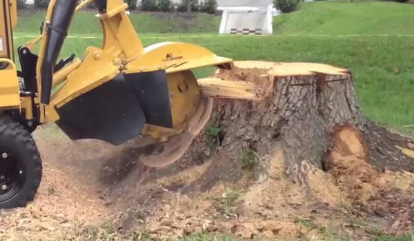 Tight access stump removal